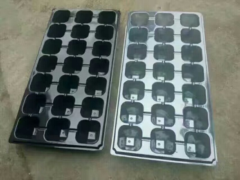 塑料穴盘