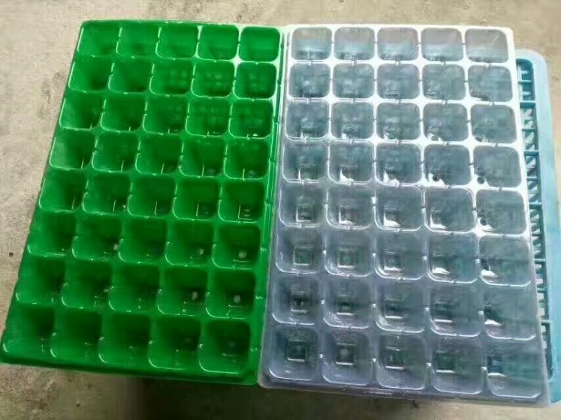 塑料穴盘