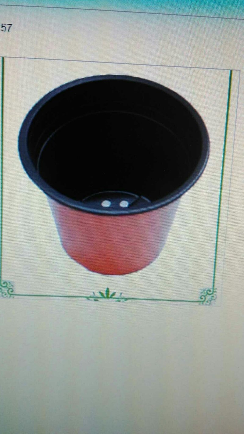 育苗盆