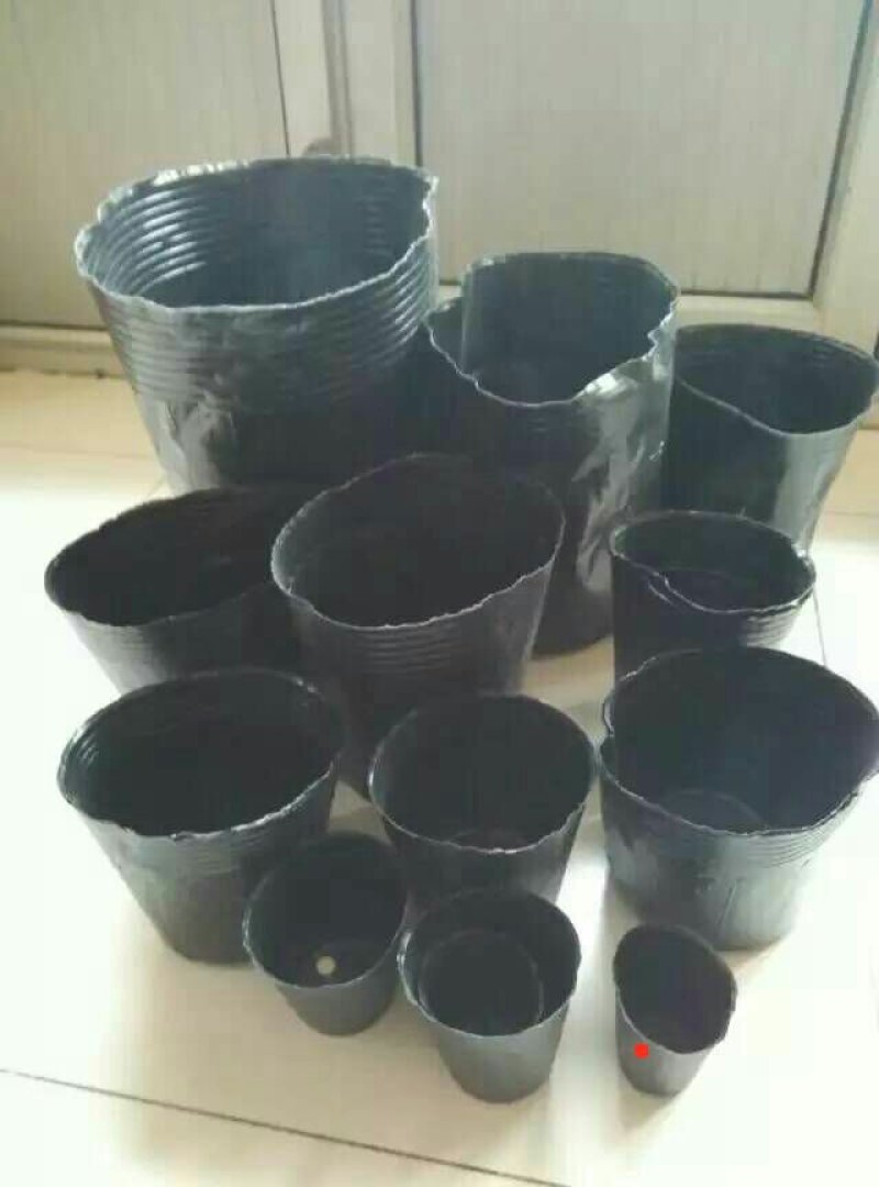 塑料营养钵