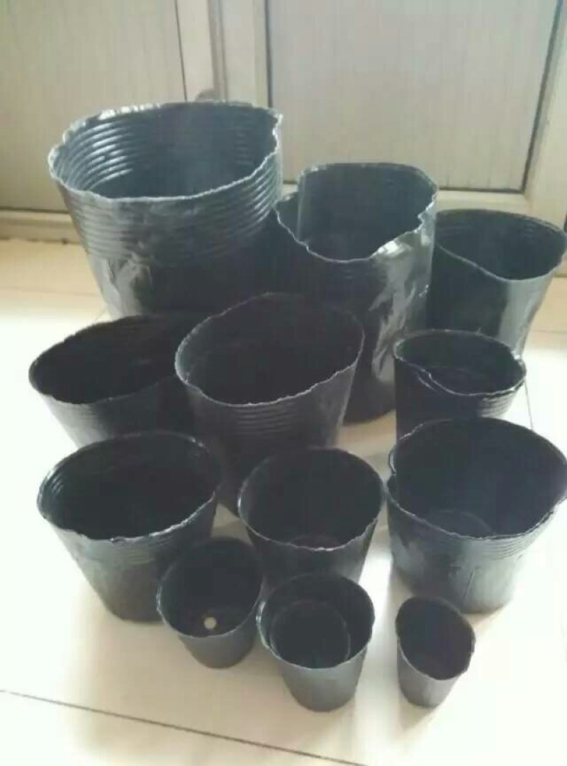 塑料营养钵
