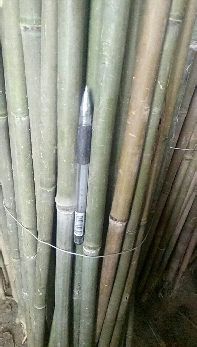 菜架竹竿