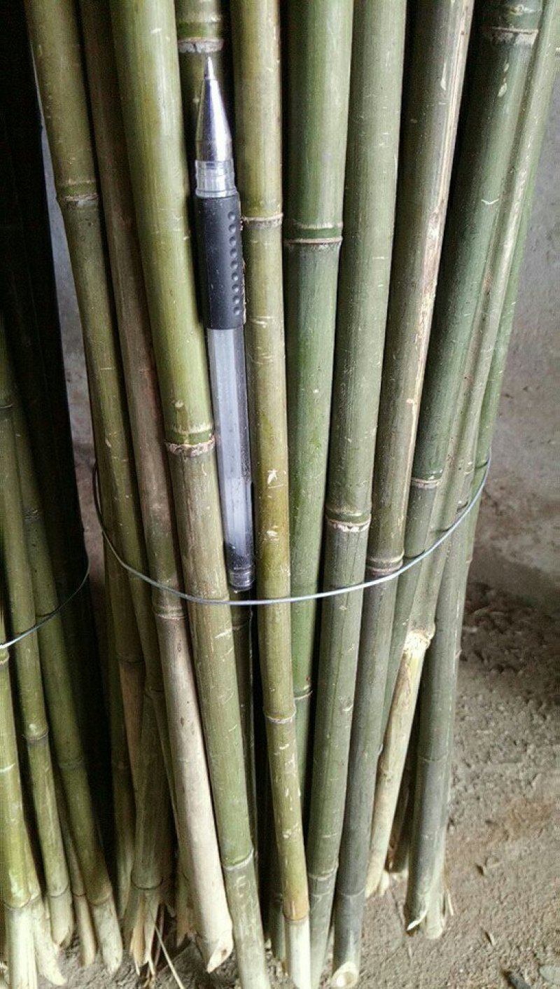 竹竿