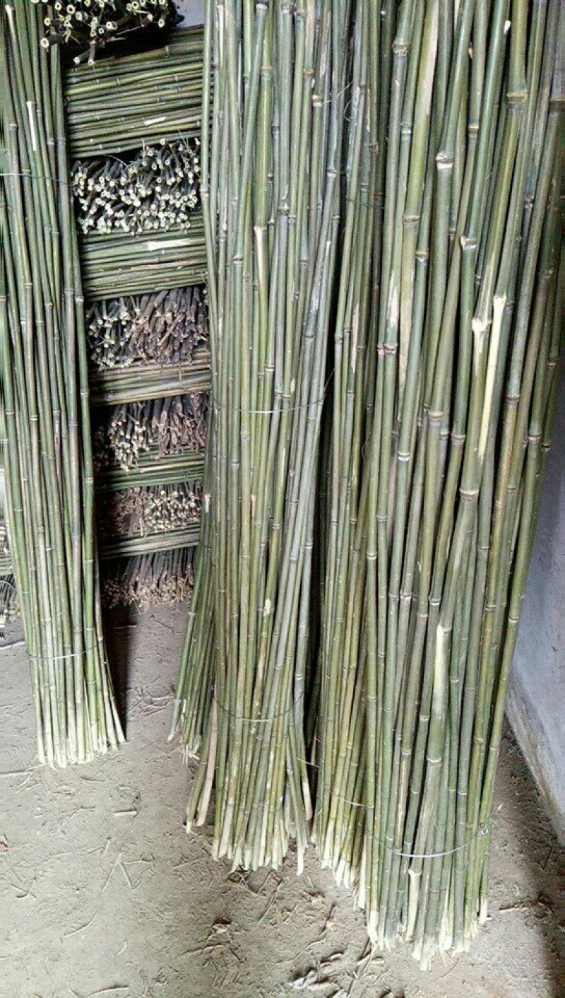 菜架竹竿豆角扦
