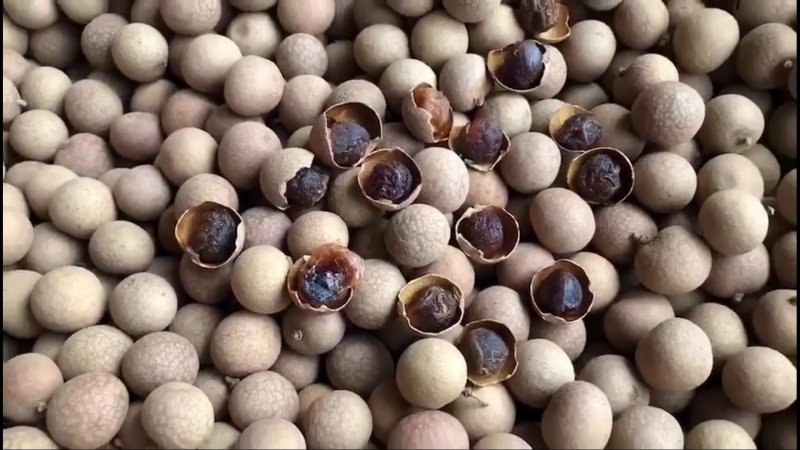 干桂圆坚果干果桂圆干龙眼肉江湖地摊产品一手货源基地