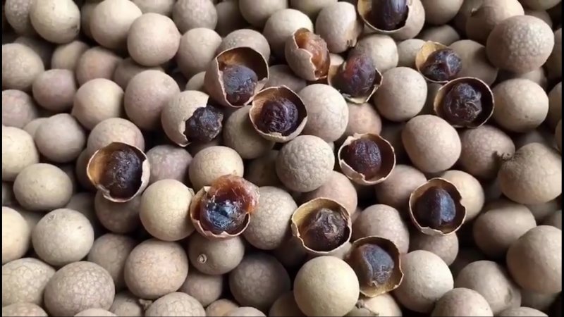 干桂圆坚果干果桂圆干龙眼肉江湖地摊产品一手货源基地