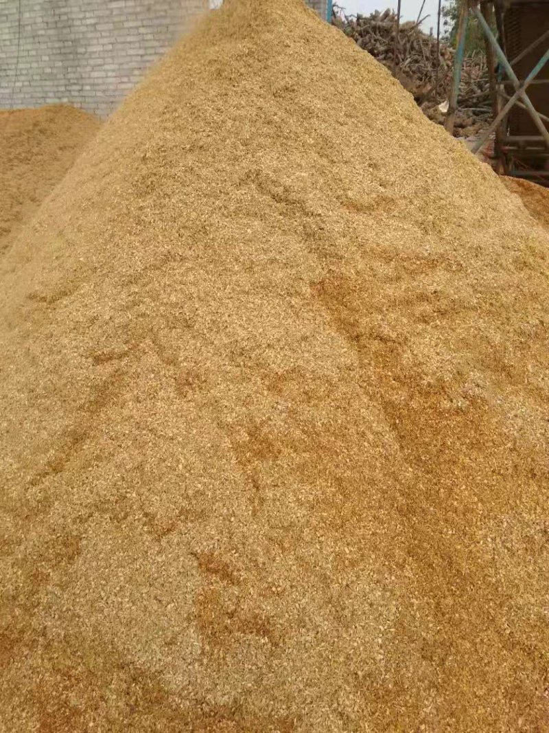 果木屑食用菌菌种料