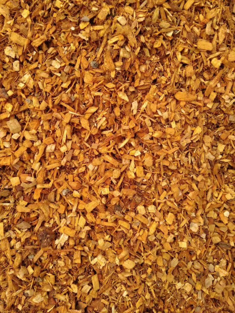 果木屑食用菌菌种料