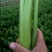 芹菜