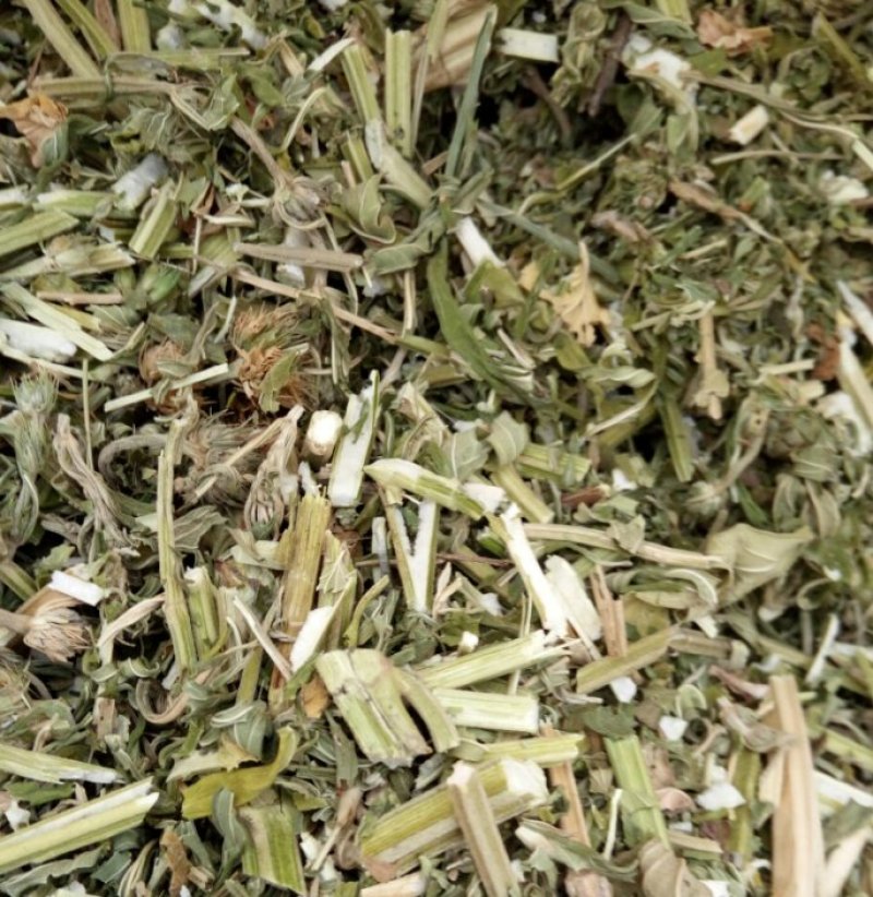 益母草1cm段河南野生支持线上保障交易可视频看货