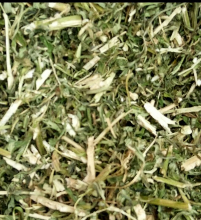 益母草1cm段河南野生支持线上保障交易可视频看货