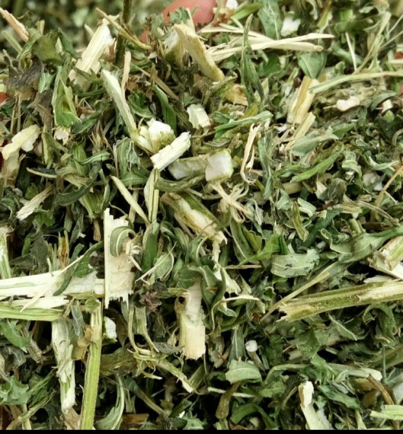 益母草1cm段河南野生支持线上保障交易可视频看货