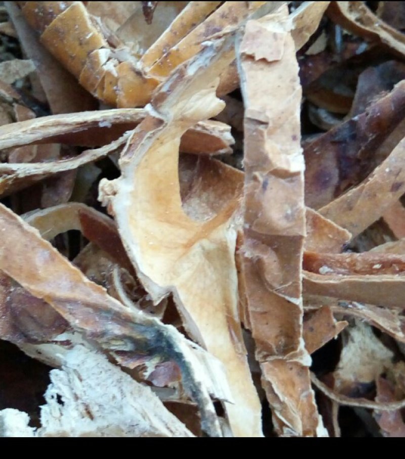 瓜蒌皮河南野生支持线上保障交易可视频看货
