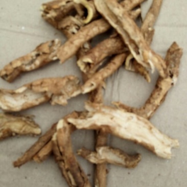 香加皮河南野生支持线上保障交易可视频看货