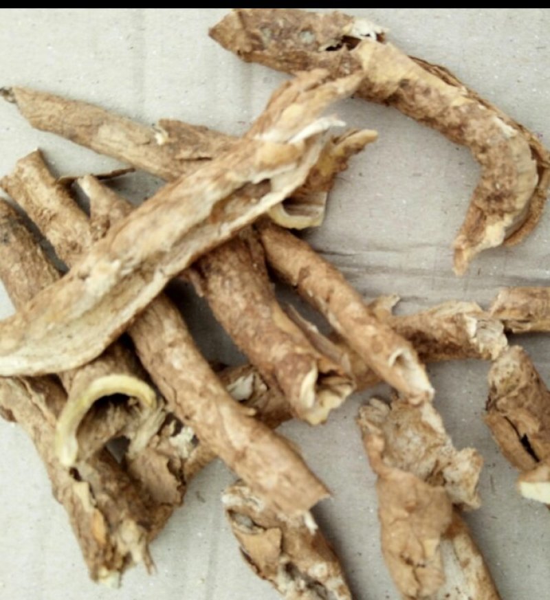 香加皮河南野生支持线上保障交易可视频看货