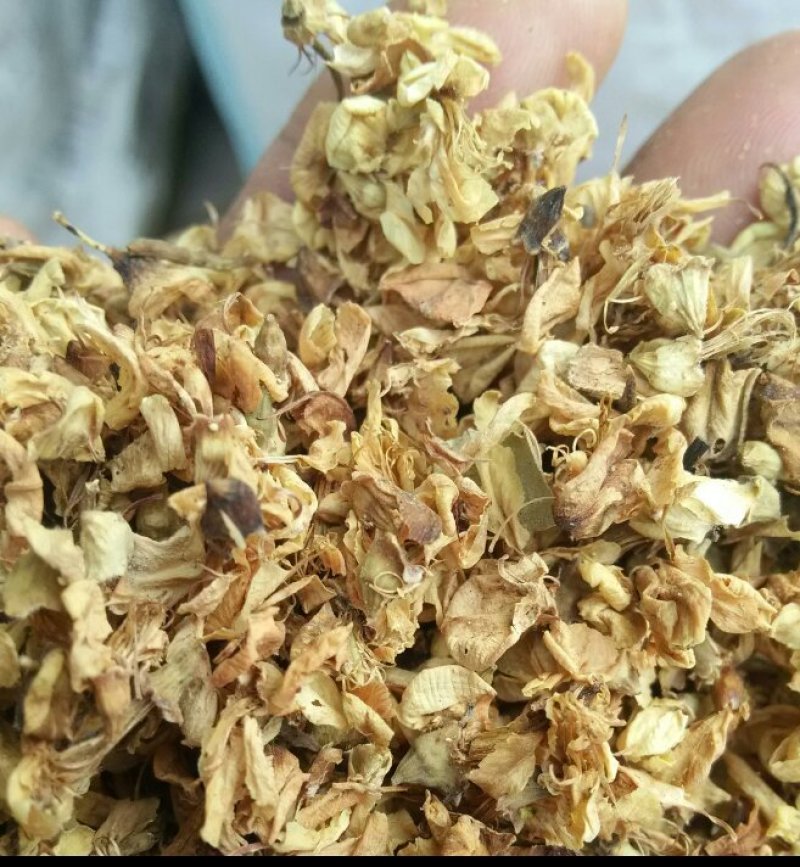 槐花河南野生支持线上保障交易可视频看货