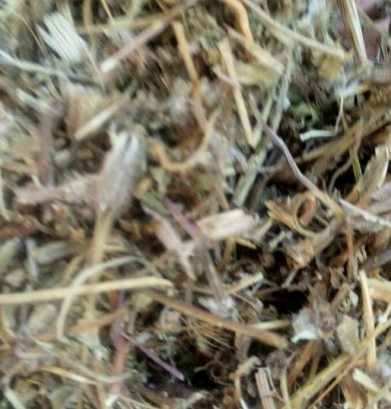 老鹳草河南野生支持线上保障交易可视频看货