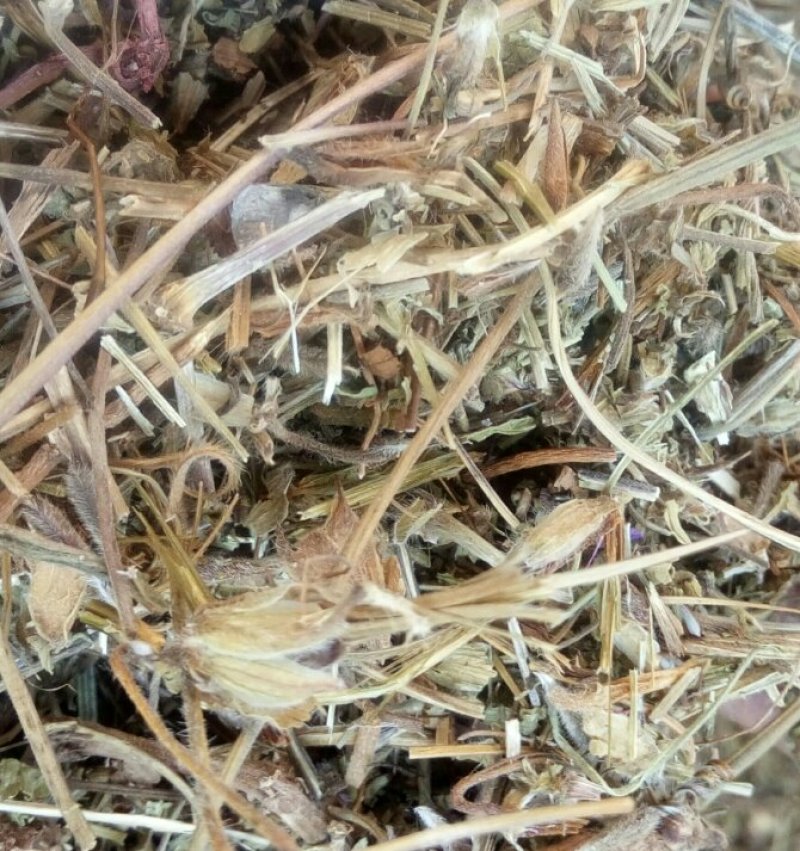 老鹳草河南野生支持线上保障交易可视频看货