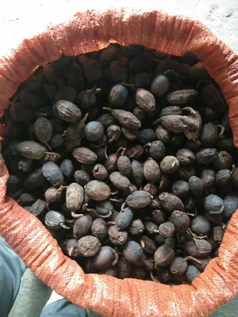 农户草果大量急需出手