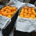 天草柑天草柑6.5～8.5