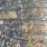 晚秋黄梨树苗嫁接苗，梨树成品苗供应500万棵
