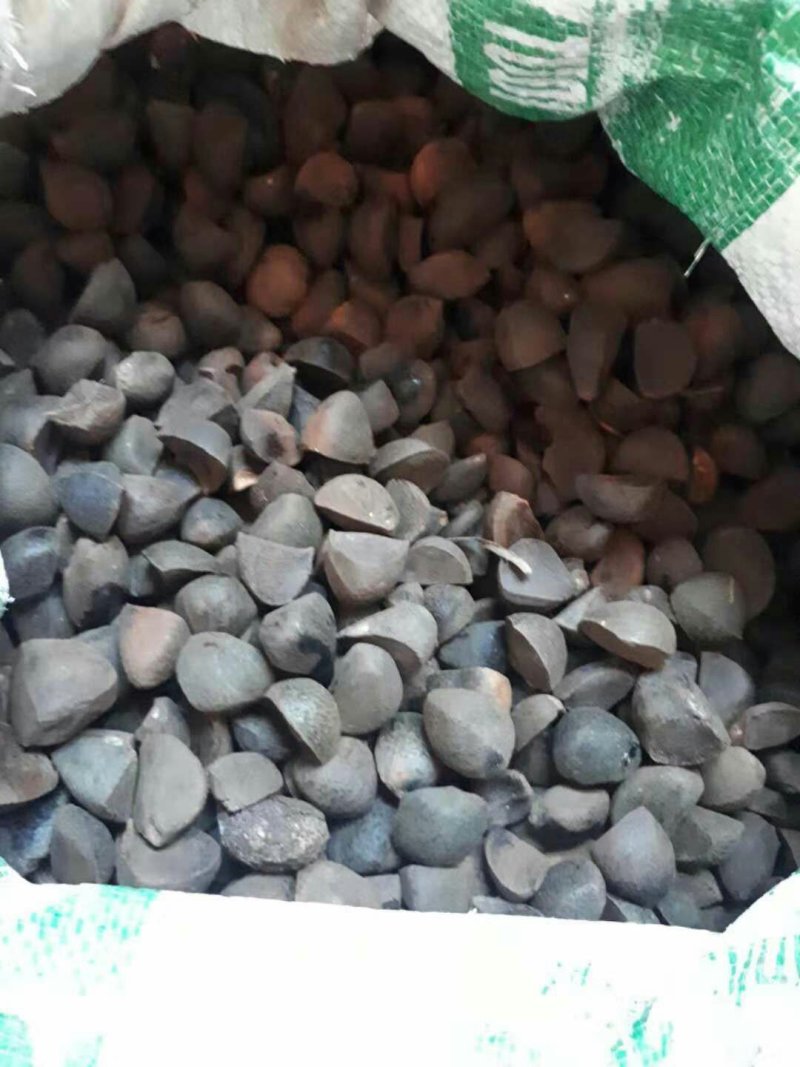 茶油籽
