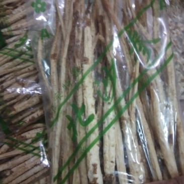 北沙参