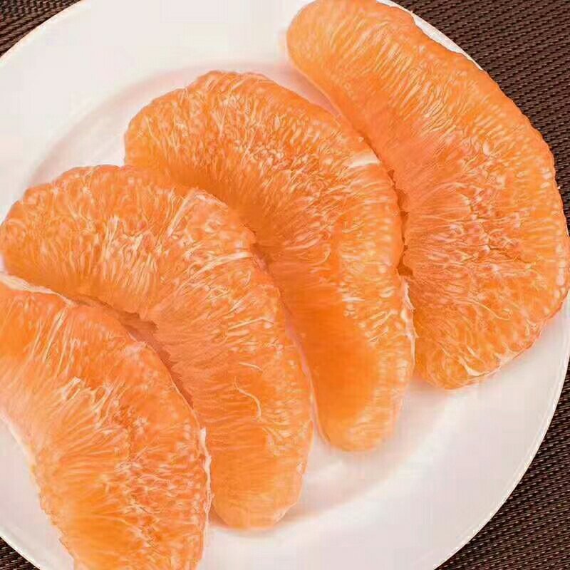 黄金蜜柚苗品质保证签合同出售基地批发保湿发货