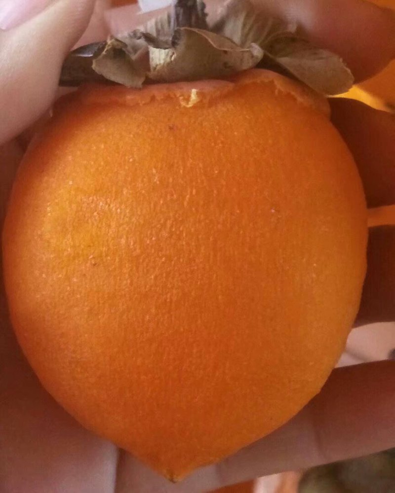 柿饼