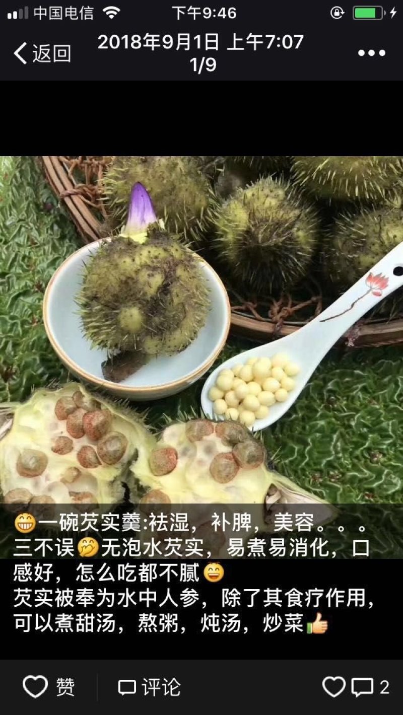 芡实