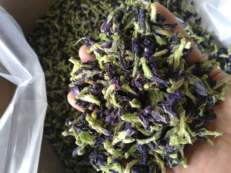 2021蝶豆花蓝蝴蝶，颜色鲜艳，干度很好，量大从优