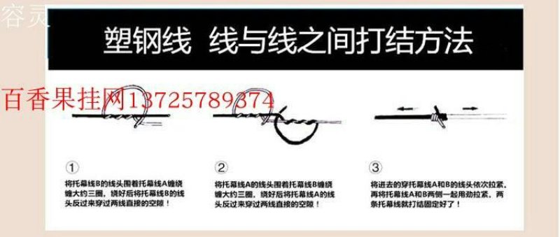 塑钢线聚酯线托幕线大棚养殖支撑线压膜线火龙果百香果架子