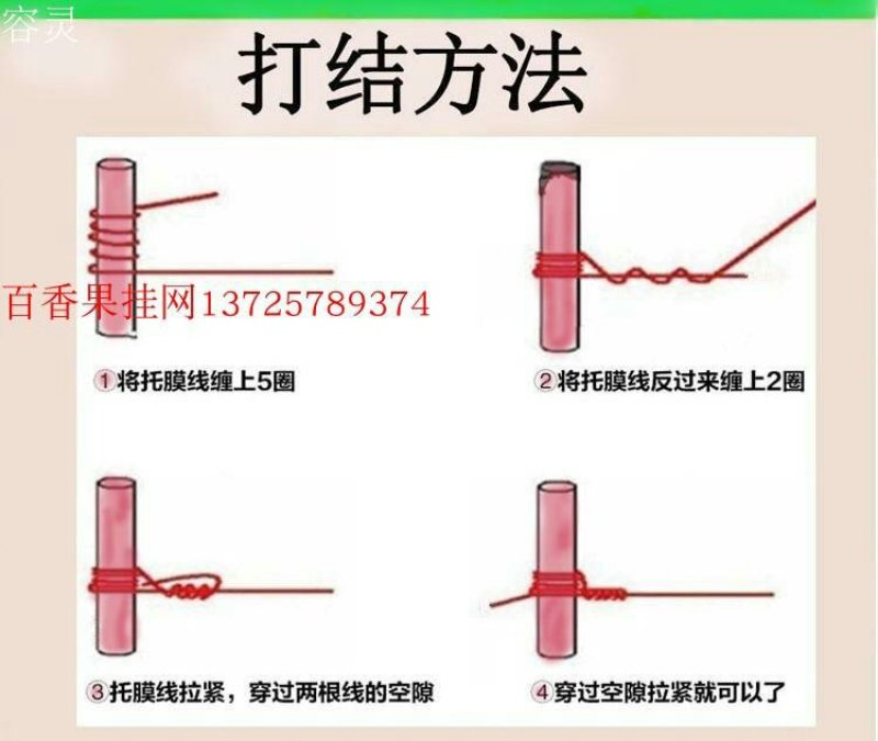 塑钢线聚酯线托幕线大棚养殖支撑线压膜线火龙果百香果架子