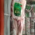 内蒙古羊肉卷羊脊骨