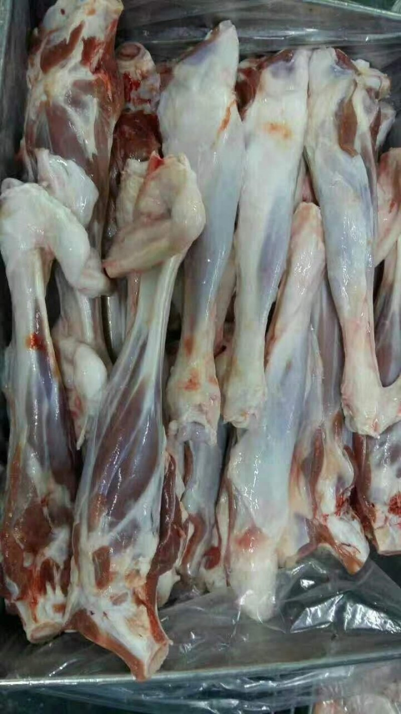 内蒙羊羔羊脊骨前腿