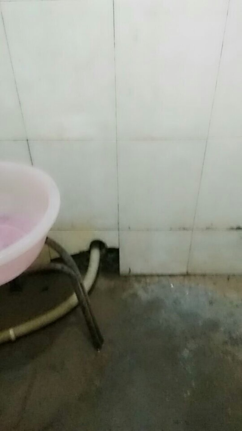 南