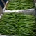 各种辣椒