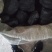 各种规格民用取暖煤