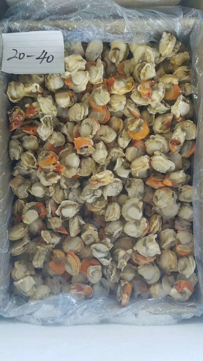 扇贝肉，原汁皇冠贝肉。单冻