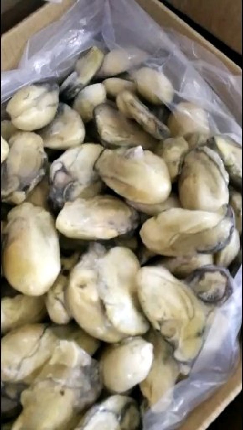 生蚝肉，海蛎子新鲜单冻。