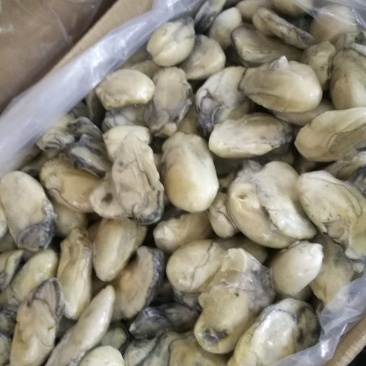 生蚝肉,海蛎子新鲜单冻。