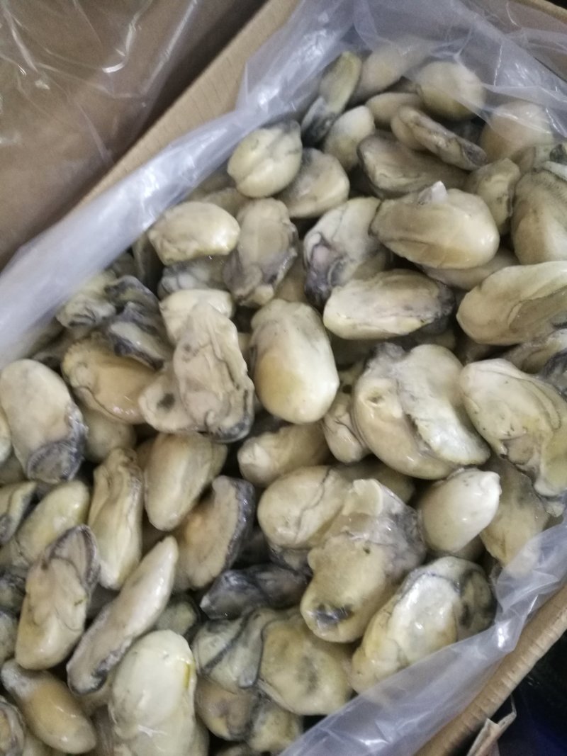 生蚝肉，海蛎子新鲜单冻。