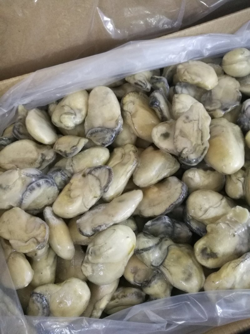 生蚝肉，海蛎子新鲜单冻。