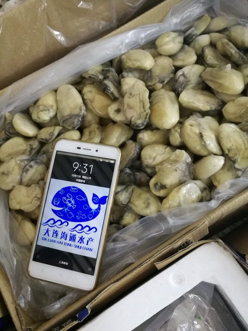生蚝肉，海蛎子新鲜单冻。