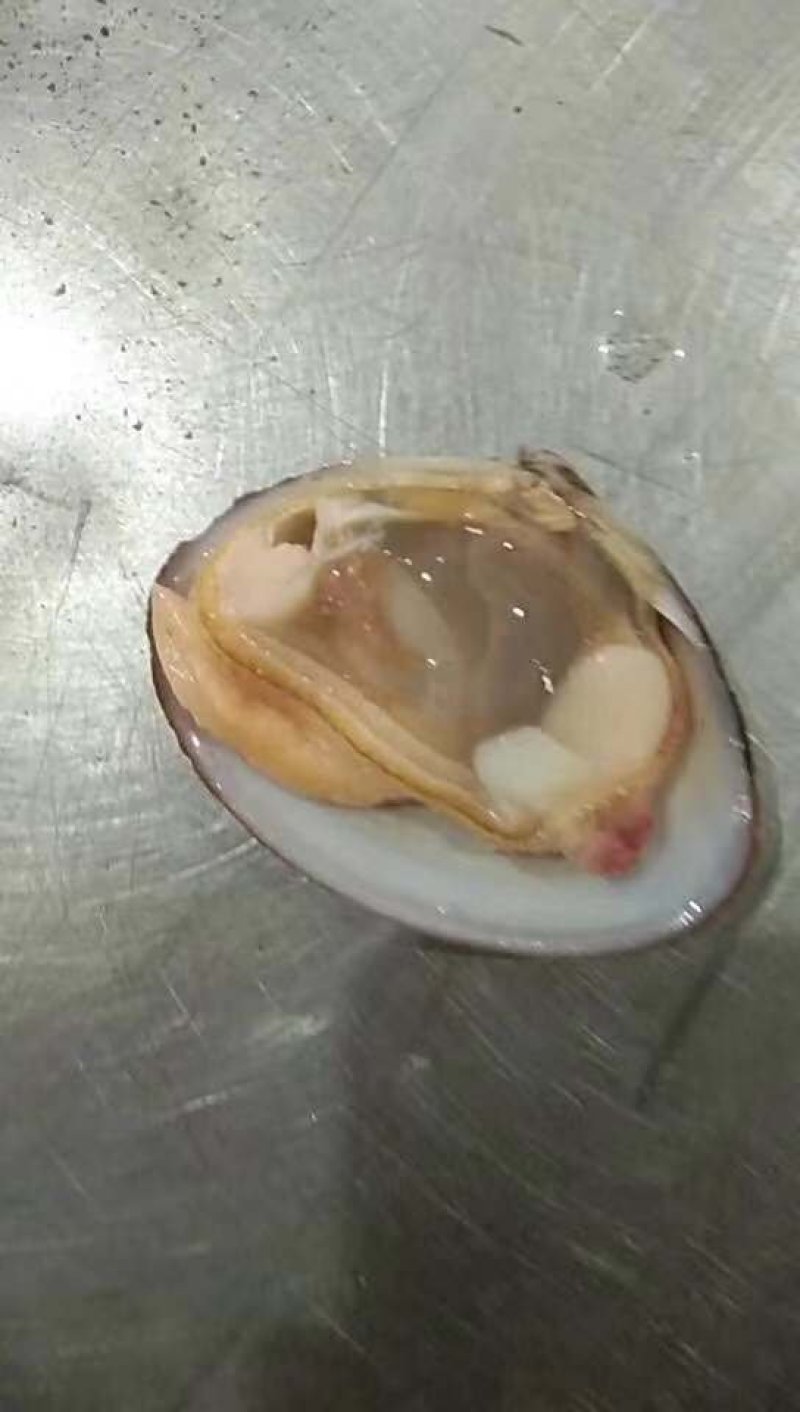 黄蚬子，沙蚬子，丹东无沙黄蚬子。