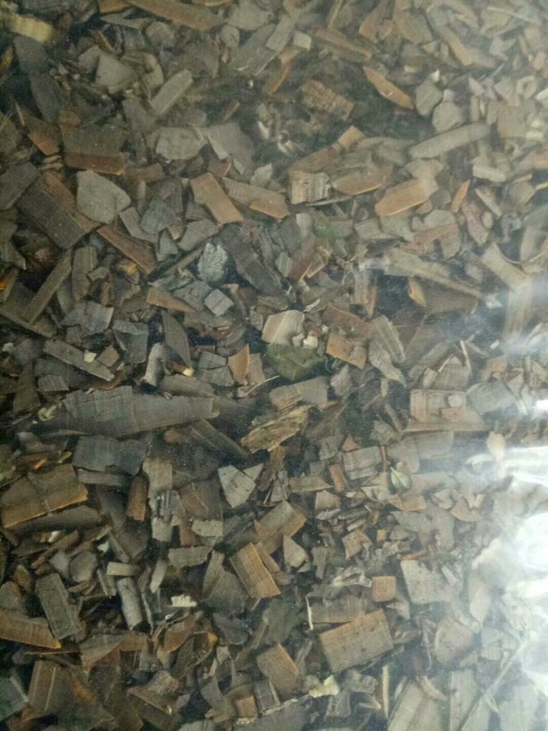 鬼箭羽