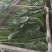 菠菜大叶