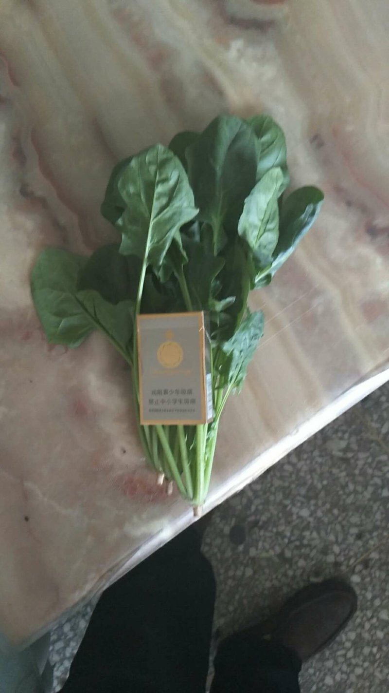 菠菜大叶
