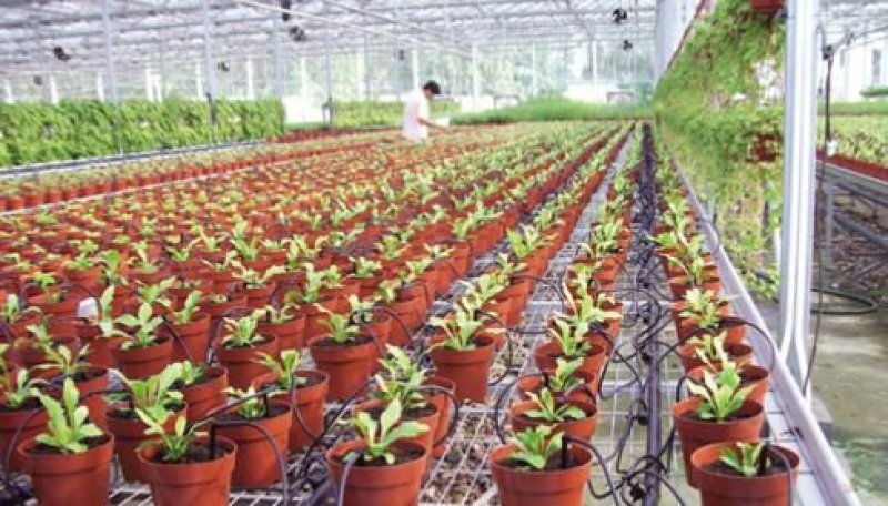 滴箭花卉种植主要供水用品