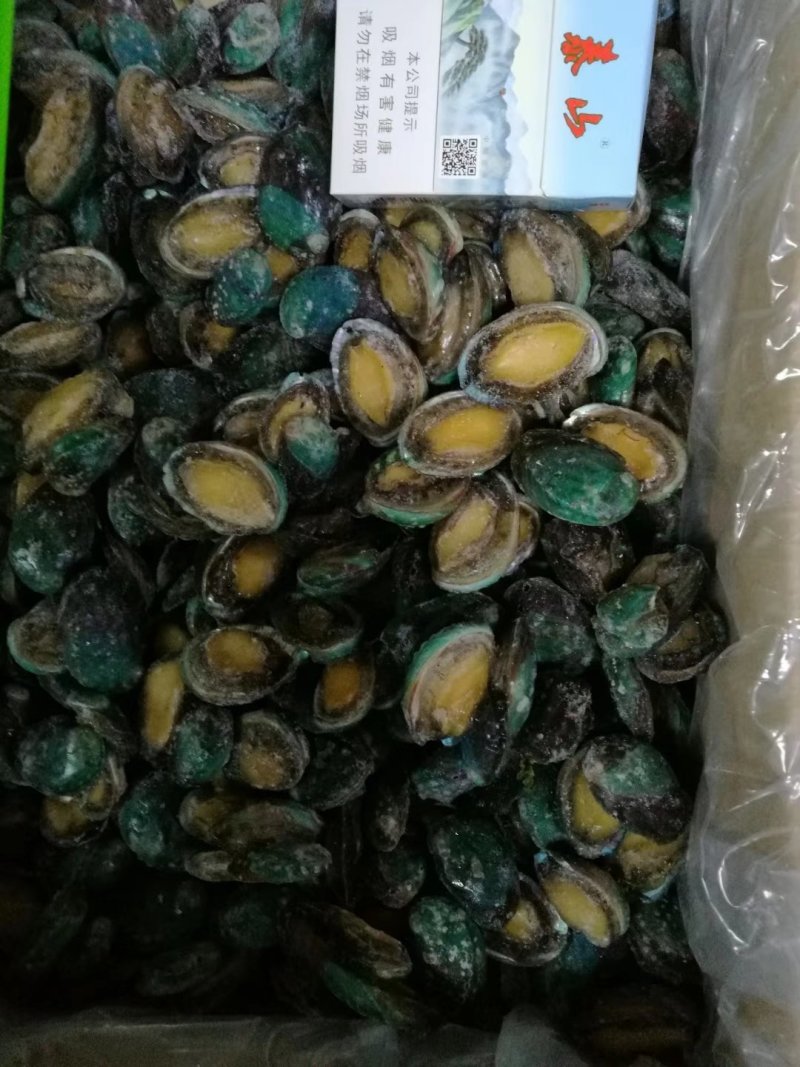 鲍鱼，活冻鲍鱼。漂烫鲍鱼，
